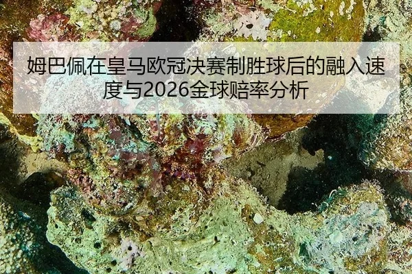 姆巴佩在皇马欧冠决赛制胜球后的融入速度与2026金球赔率分析