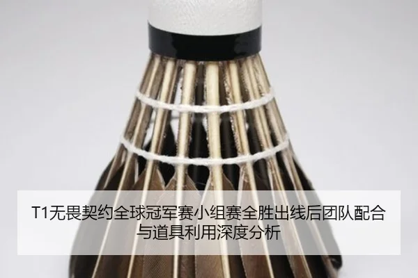 wu-wei-qi-yue-quan-qiu-guan-jun-sai-xiao-zu-sai-quan-sheng-chu-xian-hou-tuan-dui-pei-he-yu-dao-ju-li-yong-shen-du-fen-xi-2-200.jpg